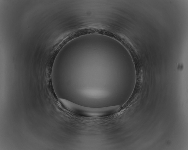 X0000091641110200708231152