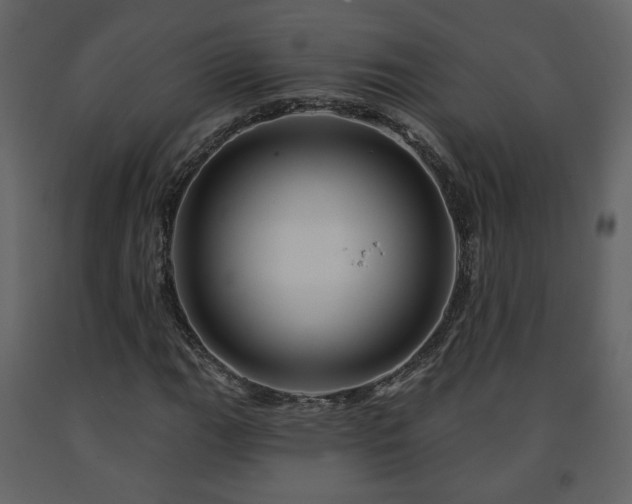 X0000091641111200708231152