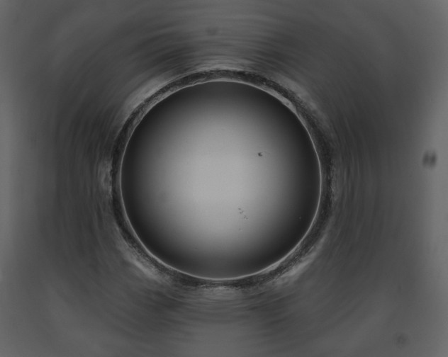 X0000091641113200708231152
