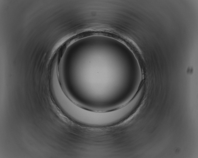 X0000091641114200708231152