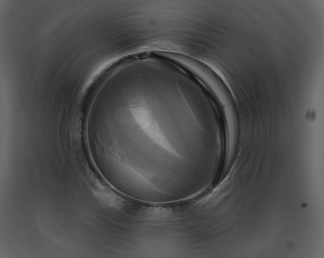 X0000091641115200708231152