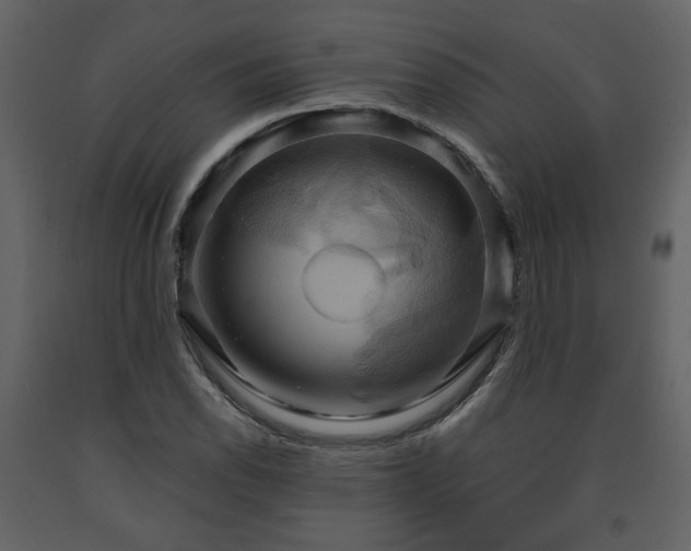 X0000091641118200708231152