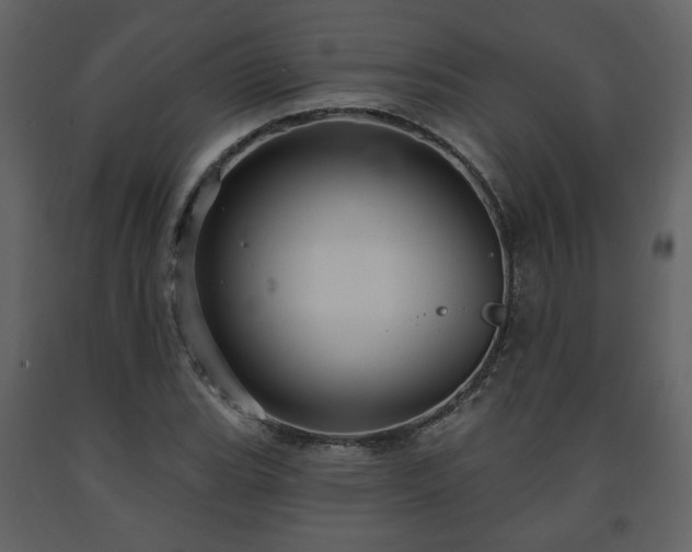 X0000091641119200708231152