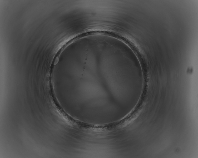 X0000091641121200708231152
