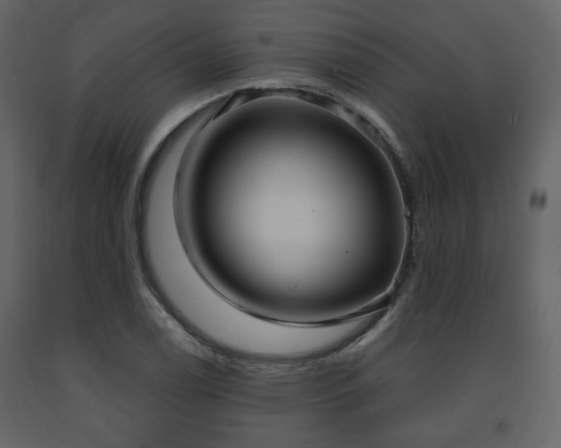 X0000091641122200708231152