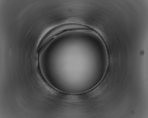 X0000091641123200708231152