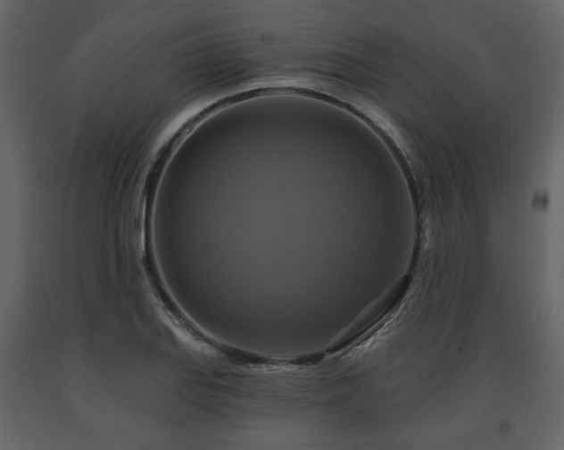 X0000091641127200708231152
