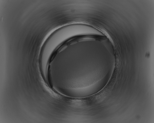 X0000091641132200708231152