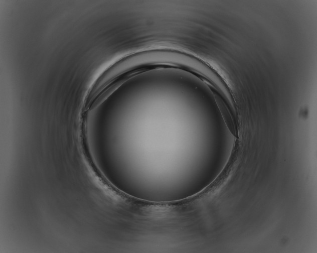 X0000091641134200708231152