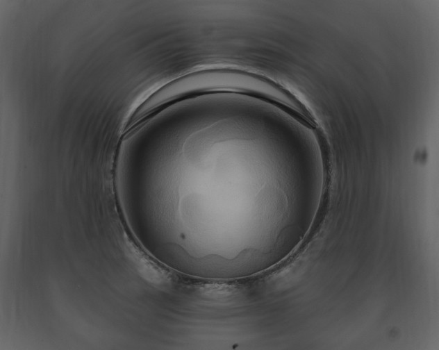 X0000091641137200708231152