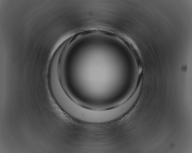 X0000091641138200708231152