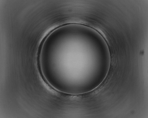 X0000091641139200708231152