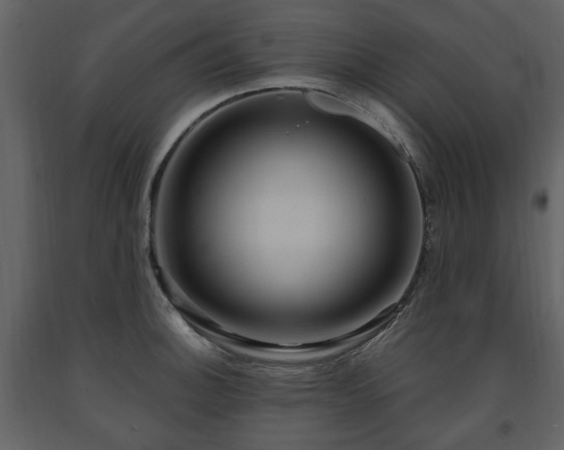 X0000091641140200708231152
