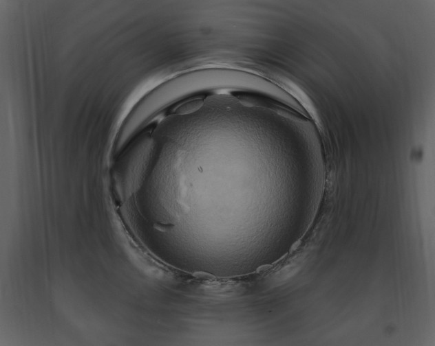 X0000091641146200708231153
