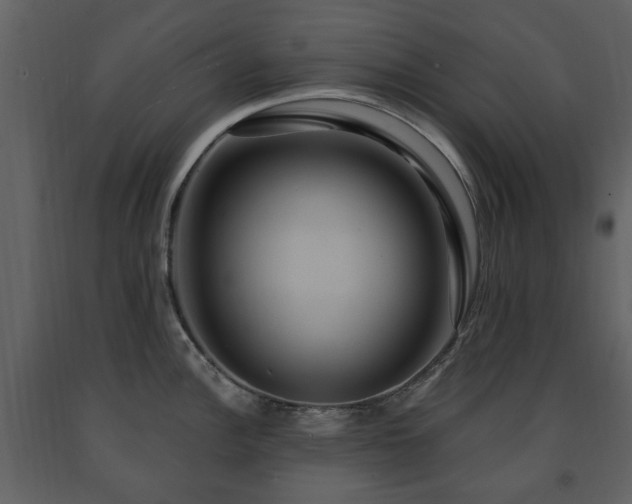 X0000091641148200708231153