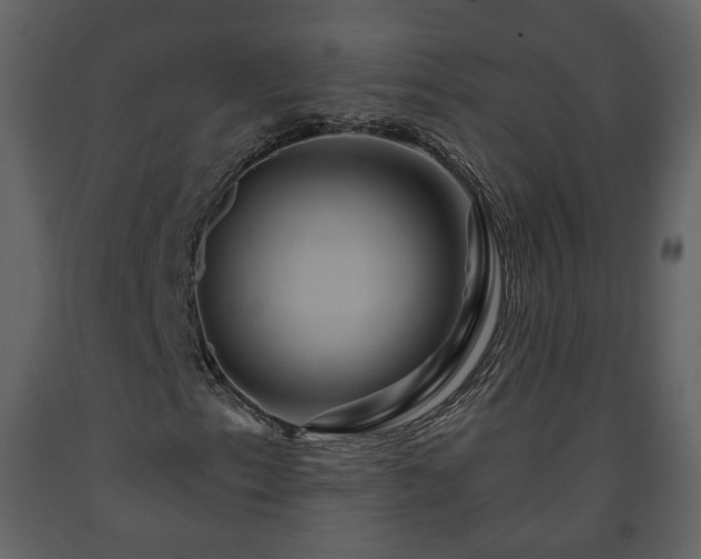 X0000091641153200708231152