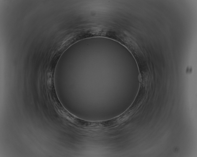 X0000091641154200708231152
