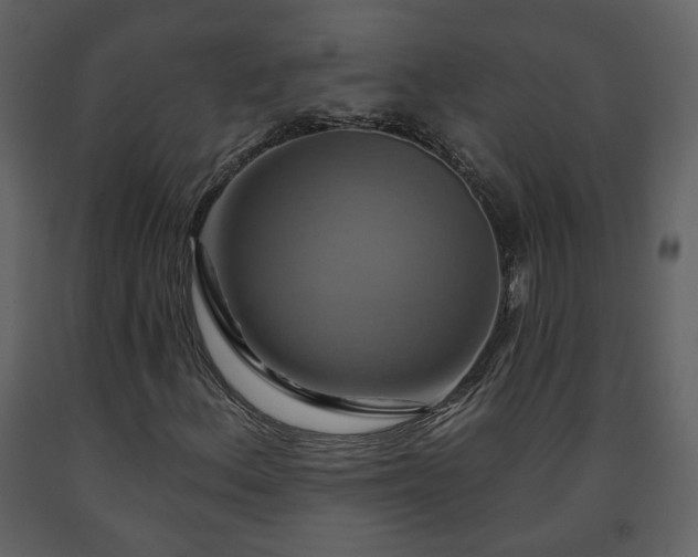 X0000091641156200708231152