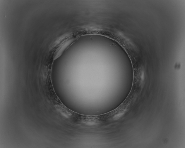 X0000091641157200708231152