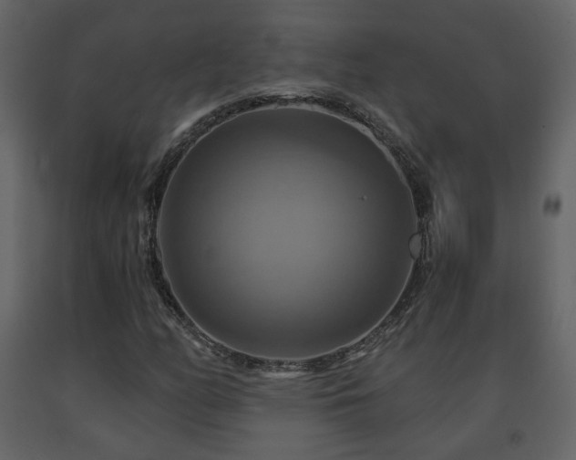 X0000091641158200708231152