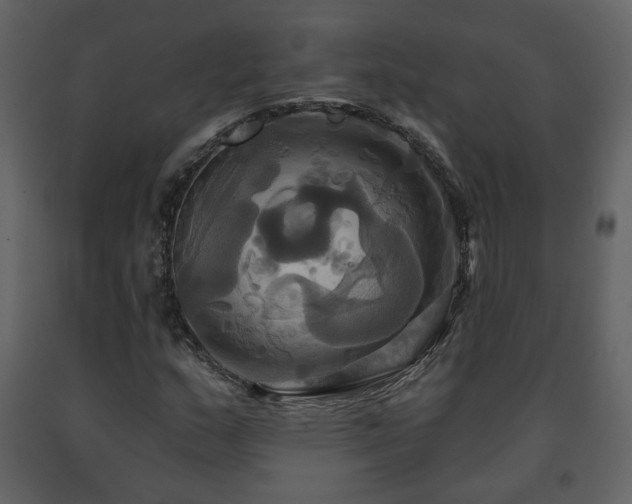 X0000091641159200708231152