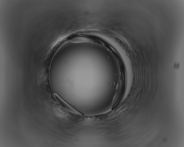 X0000091641160200708231152