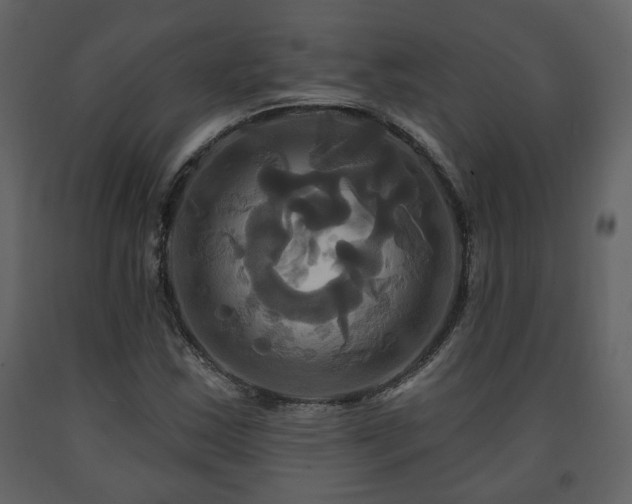 X0000091641163200708231152