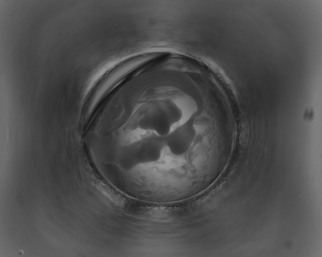 X0000091641167200708231152