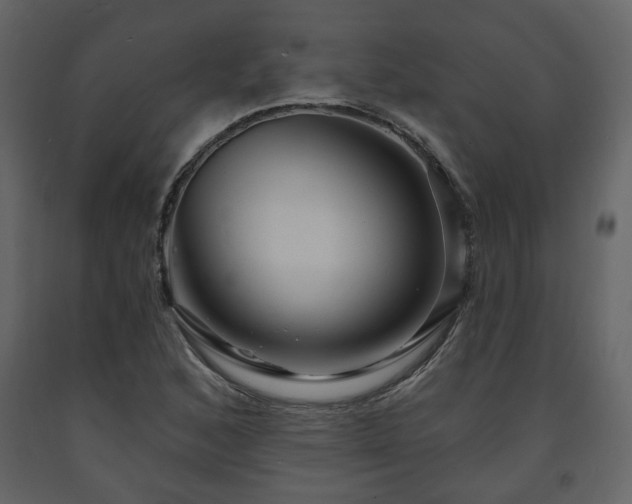 X0000091641168200708231152