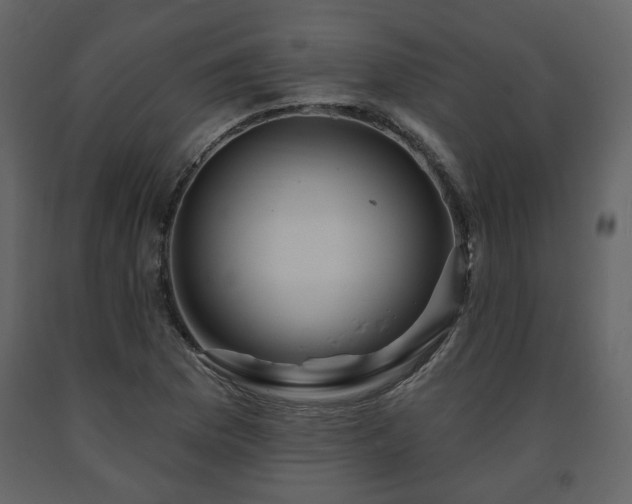 X0000091641169200708231152
