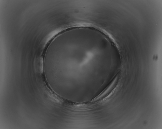 X0000091641171200708231152