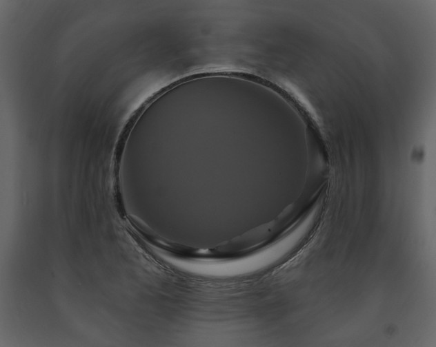 X0000091641173200708231152
