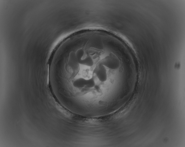 X0000091641175200708231152