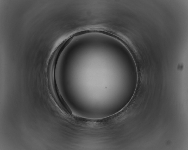 X0000091641176200708231152