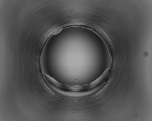 X0000091641177200708231152