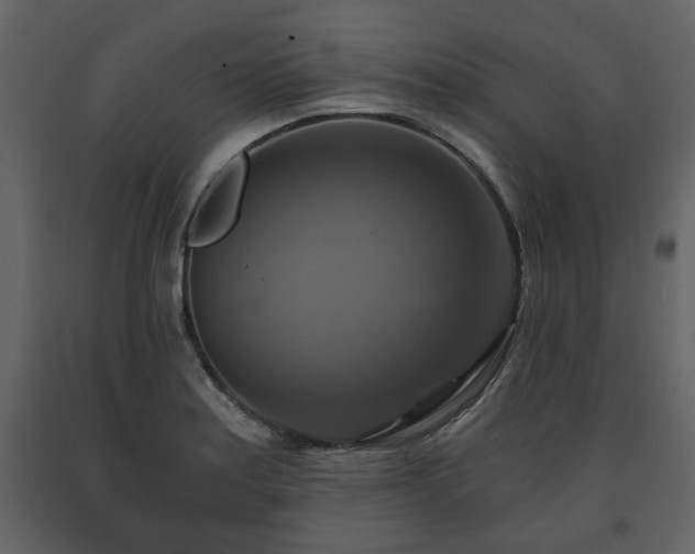 X0000091641179200708231152