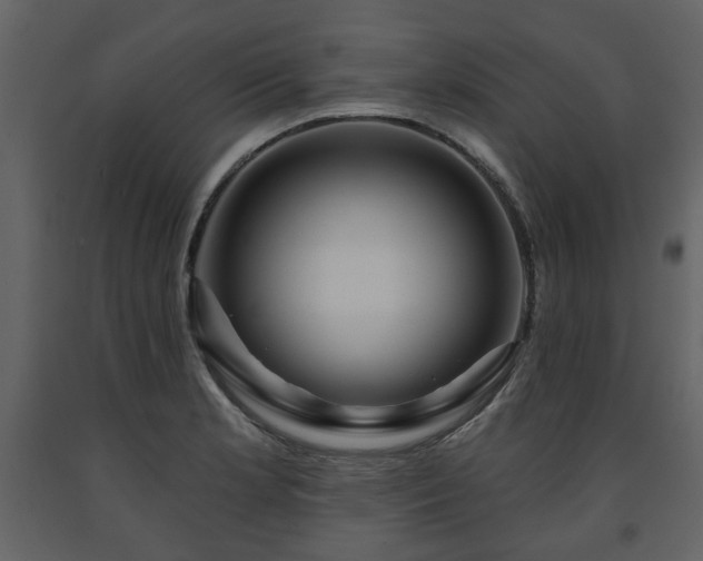 X0000091641181200708231152
