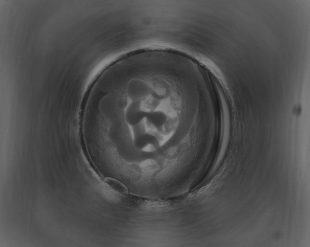 X0000091641183200708231152