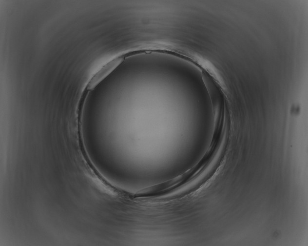 X0000091641184200708231152