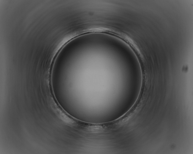 X0000091641186200708231152