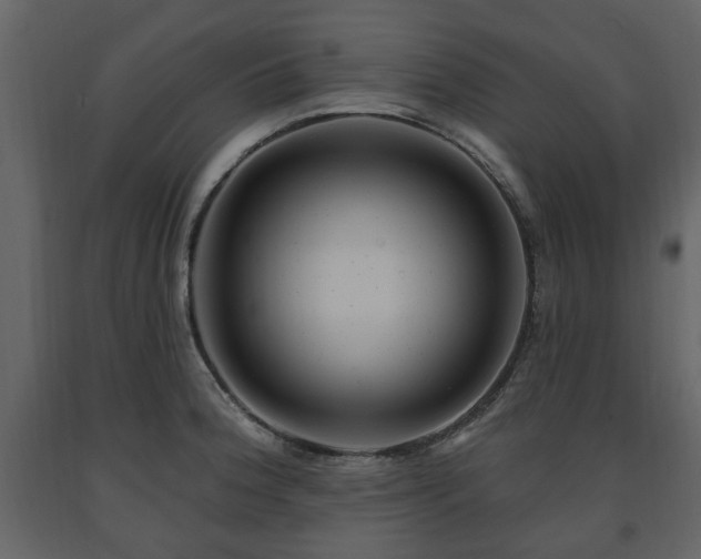 X0000091641188200708231151