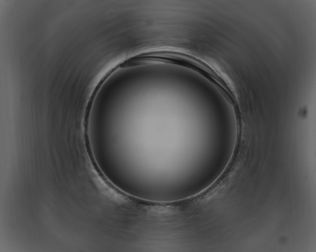 X0000091641189200708231151