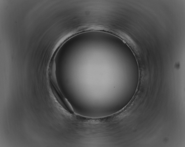 X0000091641190200708231151