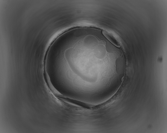 X0000091641191200708231151