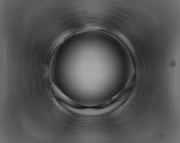 X0000091641193200708231151
