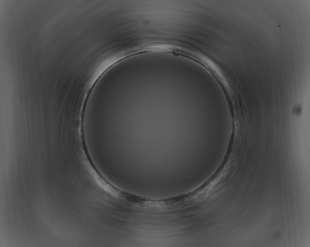 X0000091641194200708231151
