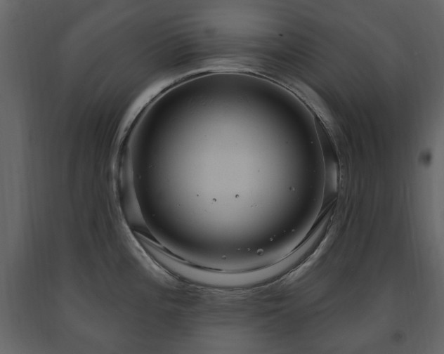 X0000091641196200708231151