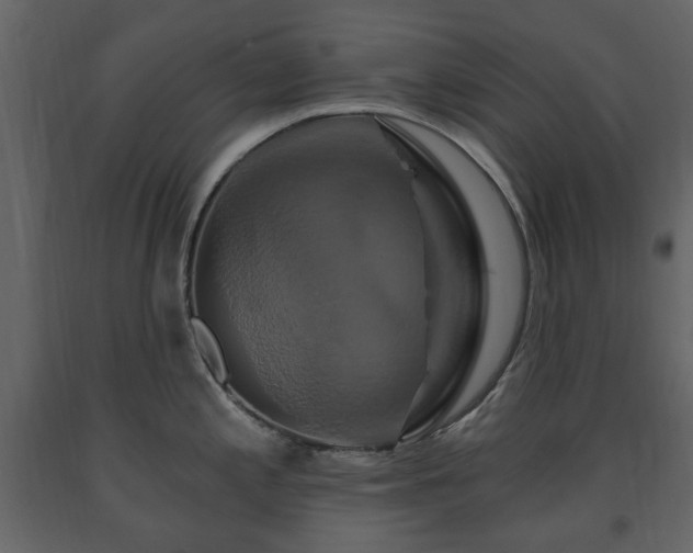 X0000091641197200708231151