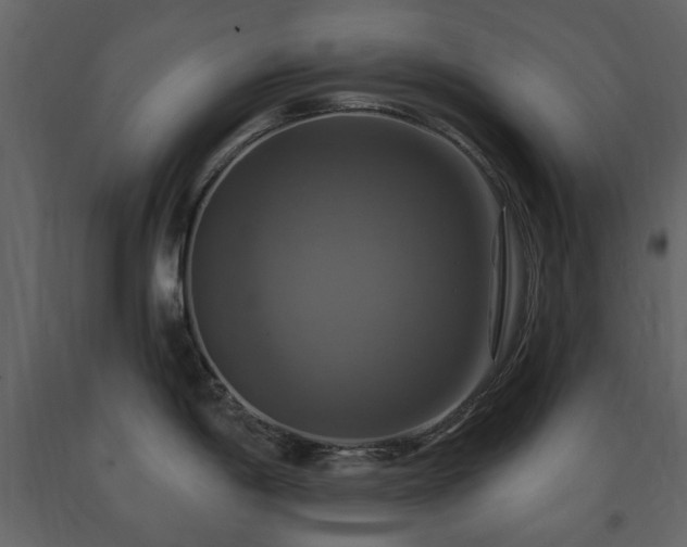 X0000091641198200708231151
