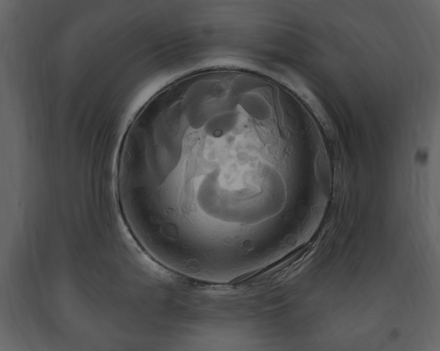 X0000091641199200708231151